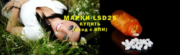 шишки Балахна