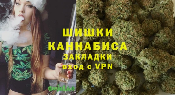 шишки Балахна