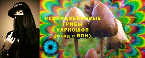 шишки Балахна