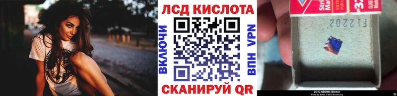 хочу   маркетплейс Telegram  Наркотические марки 1500мкг  Фокино 