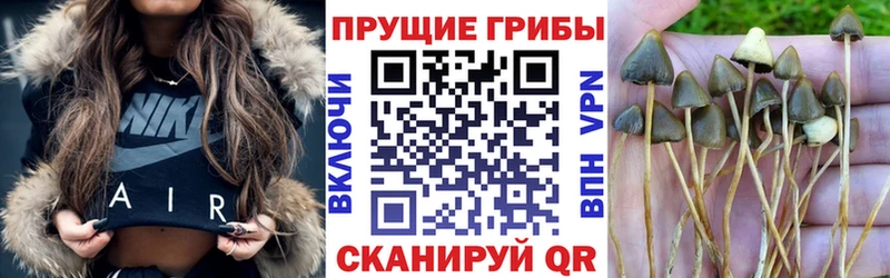 мега ссылка  Фокино  Псилоцибиновые грибы мухоморы 